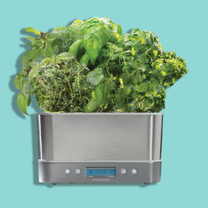 Indoor garden kit with herbs and plants
