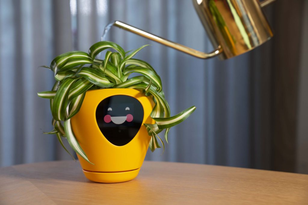 plant pot on table